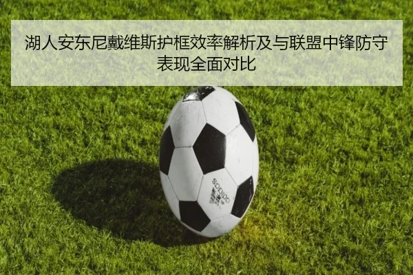 湖人安东尼戴维斯护框效率解析及与联盟中锋防守表现全面对比