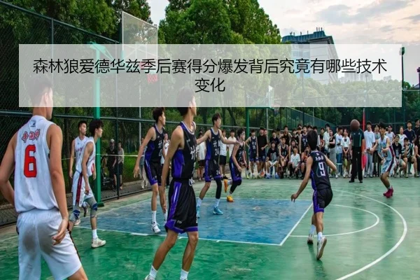 森林狼爱德华兹季后赛得分爆发背后究竟有哪些技术变化